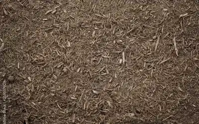 How Many Bags of Mulch in a Yard? The Naples Homeowner’s Answer, With Real Bulk Prices
