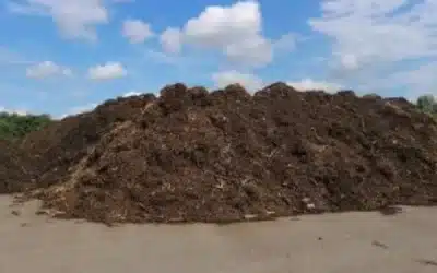The Right Mulch, Compost & Topsoil Mix for Naples Gardens: A Homeowner’s Guide to Growing in SWFL’s Sandy Soil