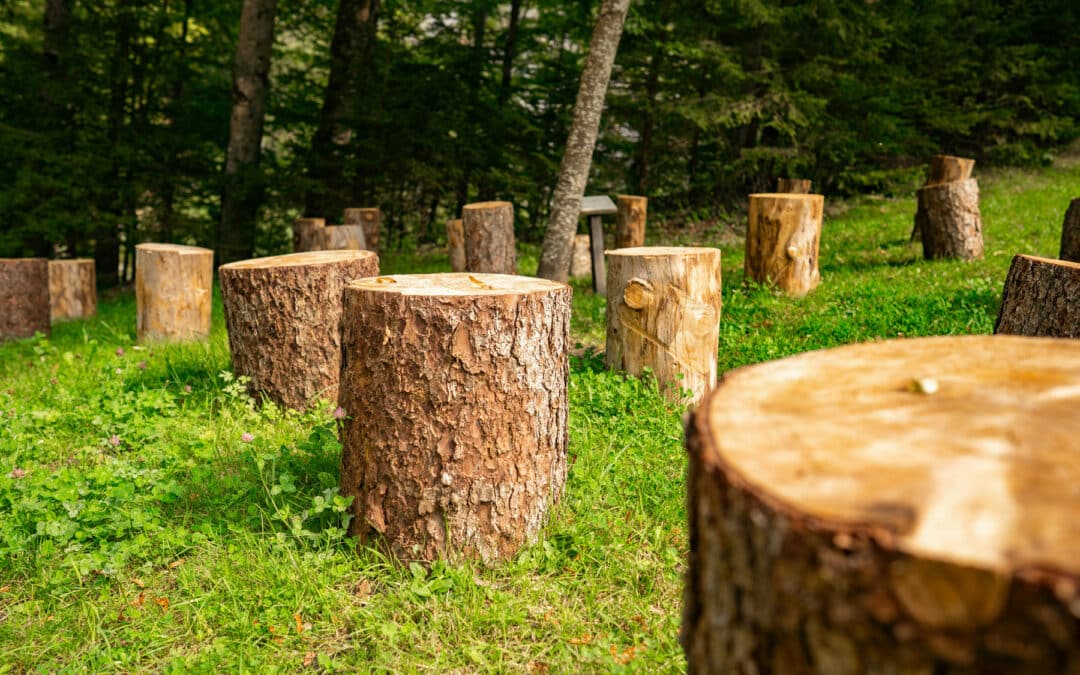 Stump Removal Cost in Naples, FL: The Full Breakdown, Including the Disposal Fee Nobody Quotes