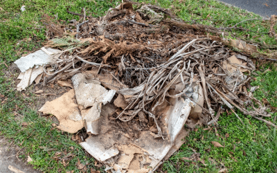 Hurricane Season Yard Debris: What Marco Island and Naples Landscaping Crews Need to Know About Disposal Rules